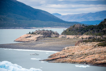 室内十大好养的绿植