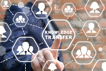 室内十大好养的绿植