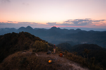 室内十大好养的绿植