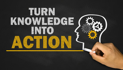 室内十大好养的绿植