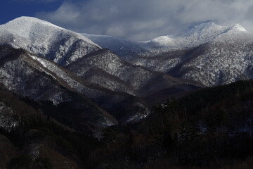 室内十大好养的绿植