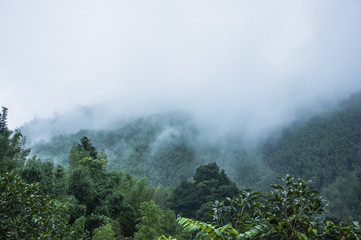 《海底两万里》中写到潜艇上的人睡的床、穿的衣服、用来写字的笔和墨水是用什么做的？